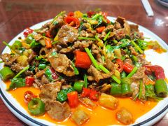 -邵年鸽(杨庄店)