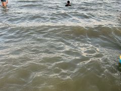 -碧海金沙
