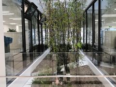 -上海市徐汇区口腔医院