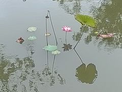 -九龙潭景区