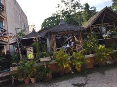 -Jungle Kitchen