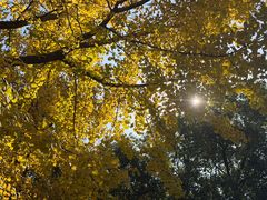 -杭州城北体育公园