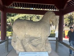 -茂陵博物馆