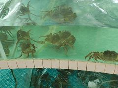 -品鲜村农家菜·阳澄湖大闸蟹(总店)