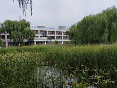 -古塔公园