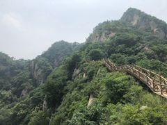 -大岭沟猕猴桃谷风景区