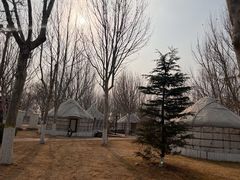 -九十九顶毡房(阜石路店)