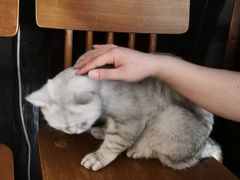 -不舍昼夜咖啡馆