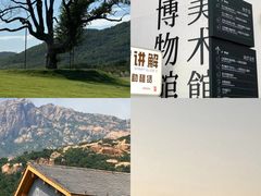 -日照海滨国家森林公园