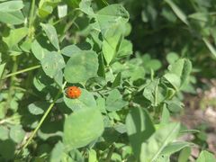 -汉长安城未央宫国家考古遗址公园