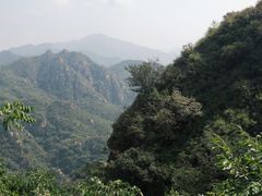 -大岭沟猕猴桃谷风景区