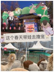 -萌宠亲子动物乐园(槐房万达店)