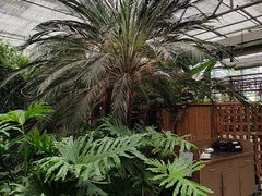 -金稼园·金平湖农家菜