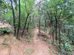 -岳麓山风景名胜区