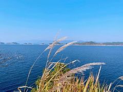 -千岛湖九龙溪漂流