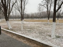 -汉长安城未央宫国家考古遗址公园