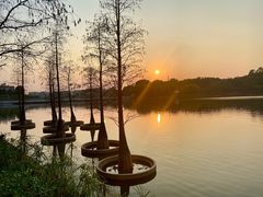 -南国桃园旅游度假区