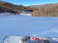 -多乐美地滑雪场