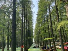 -渌洋湖湿地公园