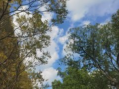 -上海大学(嘉定校区)
