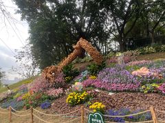 -广州市白云山风景名胜区