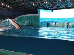 -海合安青岛极地海洋公园