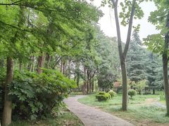 -洛阳市隋唐城遗址植物园