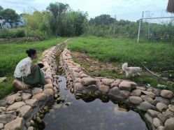 -DORA kids 朵拉儿童摄影花园店