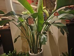 -58度品质川菜馆(经一路店)