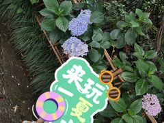 -北高峰
