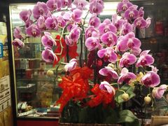 -FEI FEI FLOWER鲜花店·气球派对·宝宝宴布置(虹口德必运动Loft店)