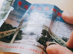 -南山植物园