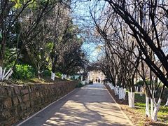 -昆明动物园