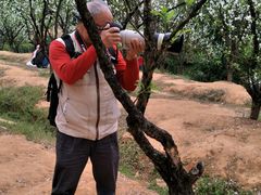 -南国桃园旅游度假区