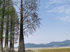 -四明湖