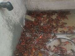 -晶宝温泉农庄