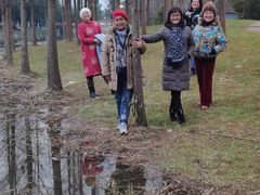 -昆山城市生态森林公园