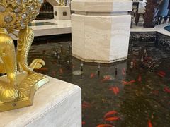 -碧中海汤泉汗蒸酒店