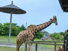 -宁波野生动物园