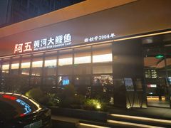 -阿五黄河大鲤鱼(建业路店)