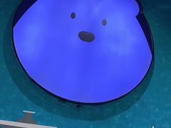 -Mr·Kuma酷么先生雪之乐园