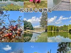 -上海辰山植物园