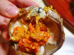 母蟹-秋月舫(阳澄湖湖滨中路店)