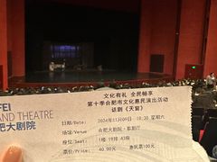 -合肥大剧院
