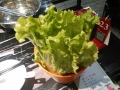 -古乐牛香·鲜牛肉牛杂火锅(五一中路店)