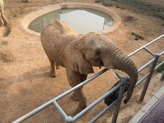 -西霞口神雕山野生动物世界