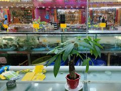 -滑记海鲜饭店·老字号(海鲜街店)