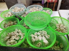 -周震馄饨