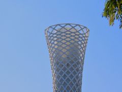 -上海滨江森林公园
