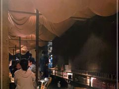 -毛辣果·酸